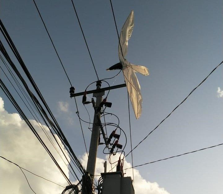 podiumnews.com-PLN Bali Siap Antisipasi Gangguan Jaringan Listrik Saat Musim Layangan